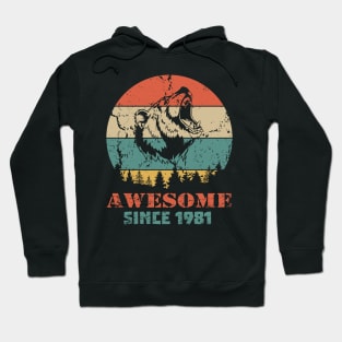 Awesome Since 1981 Year Old School Style Gift Women Men Kid Hoodie